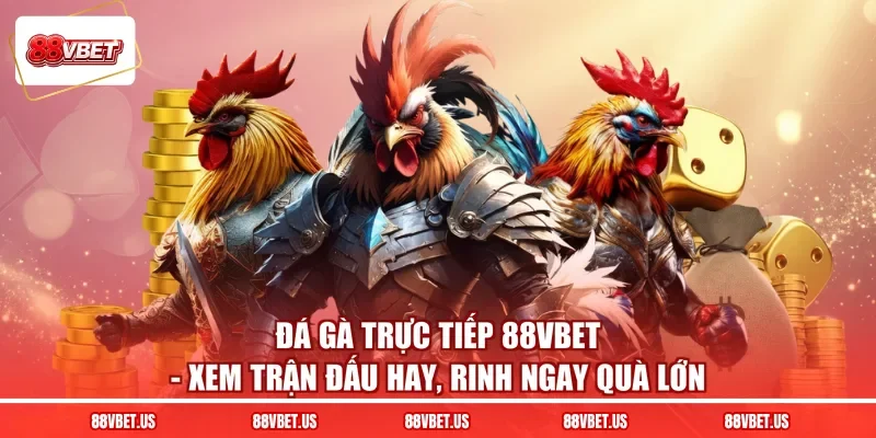 Đá Gà Trực Tiếp 88VBET - Xem Trận Đấu Hay, Rinh Ngay Quà Lớn