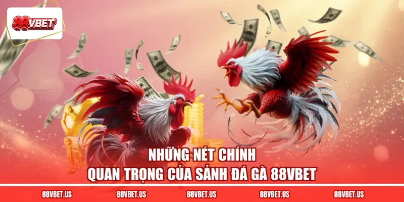 Những nét chính quan trọng của sảnh đá gà 88VBET