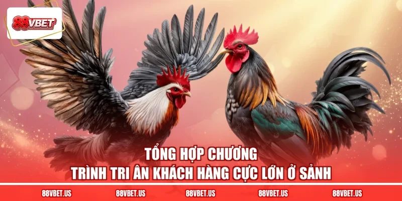 Tổng hợp chương trình tri ân khách hàng cực lớn ở sảnh