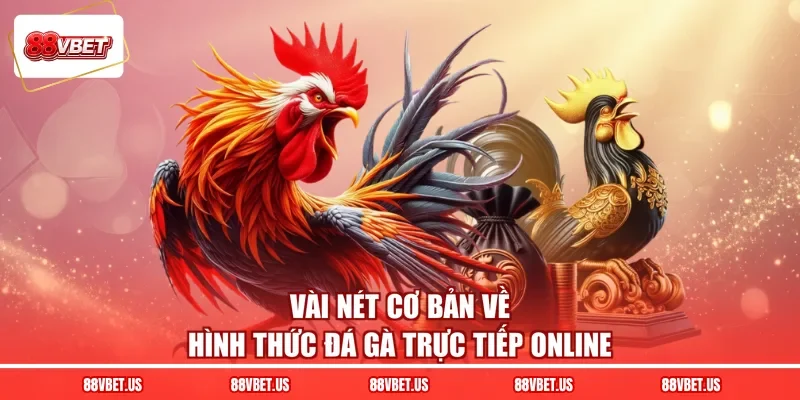 Vài nét cơ bản về hình thức đá gà trực tiếp online